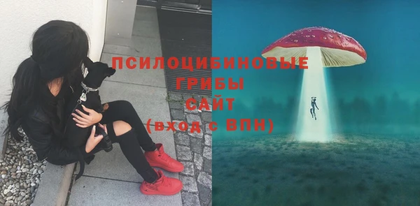 ПСИЛОЦИБИНОВЫЕ ГРИБЫ Балабаново