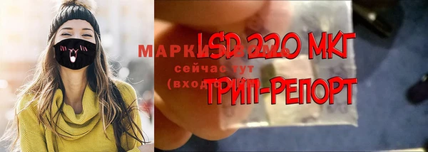 ПСИЛОЦИБИНОВЫЕ ГРИБЫ Балабаново