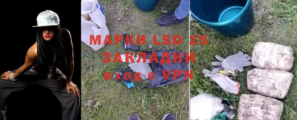 ПСИЛОЦИБИНОВЫЕ ГРИБЫ Балабаново