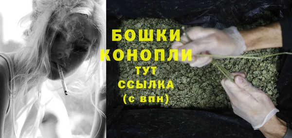 ПСИЛОЦИБИНОВЫЕ ГРИБЫ Балабаново