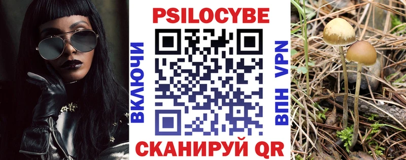 Псилоцибиновые грибы GOLDEN TEACHER  где найти   Демидов 