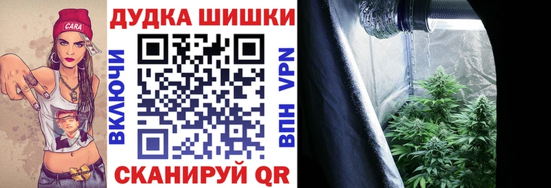 продажа наркотиков  Демидов  Бошки Шишки THC 21% 
